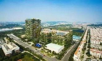 蕲春碧桂园爆料最新消息,揭秘项目进展与未来规划